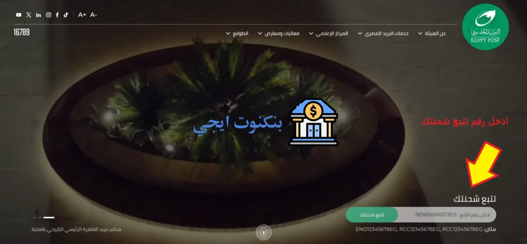 دليل ارقام تليفونات استعلامات البريد المصري الخط الساخن من داخل وخارج مصر للشكاوي والاستفسارات 2025 استعلامات البريد المصري - تتبع شحنتك